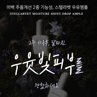 스텔라벳 모이스처 샤이니 드롭앰플★우유앰플<br>11월20일(월)11시 오픈
