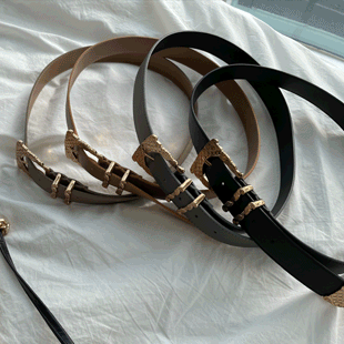 Buckle Closure Leather Belt